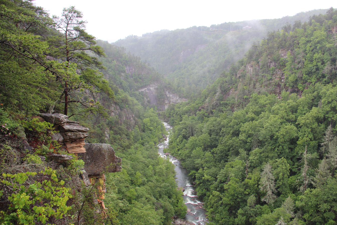 Tallulah Gorge in North Georgia, a river running through a forested canyon